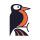 Picture of Überprüft von: