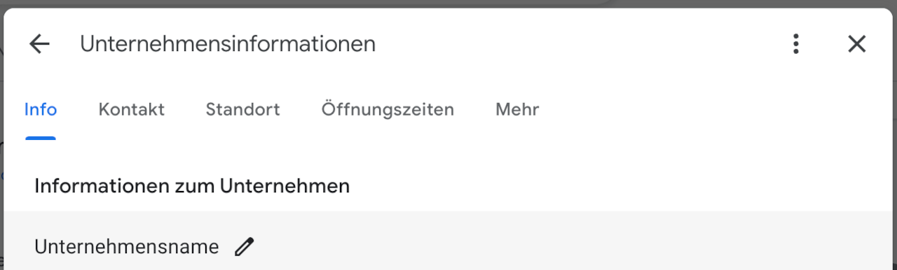 Screenshot zur Übersicht der Unternehmensinformationen im Google Unternehmensprofil