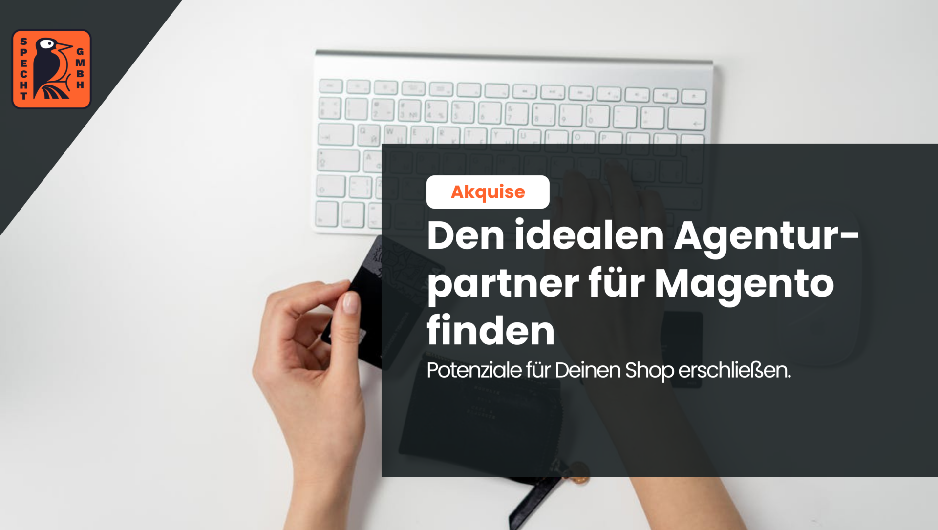 Finde den idealen Magento-Agentur-Partner für deinen erfolgreichen Online-Shop.